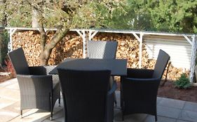 Wohnung mit Kamin Terrasse und Grill in der Nähe von Nürnberg